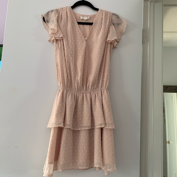 Yumi Kim Swiss Dot Blush Chelsea Dress Size XS - Picture 4 of 7